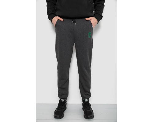 Спортивні штани чоловічі на флісі, колір грифельний, 129RA9995