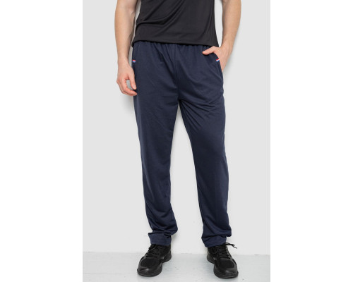Спортивні штани чоловічі, колір темно-синій, 244R41745
