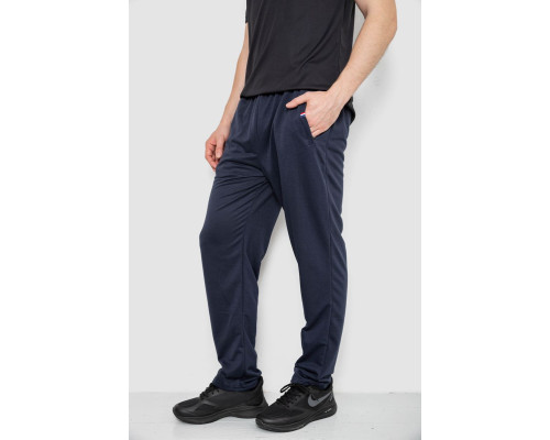 Спортивні штани чоловічі, колір темно-синій, 244R41745