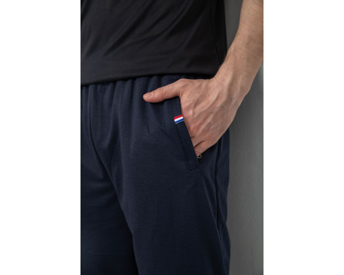 Спортивні штани чоловічі, колір темно-синій, 244R41745