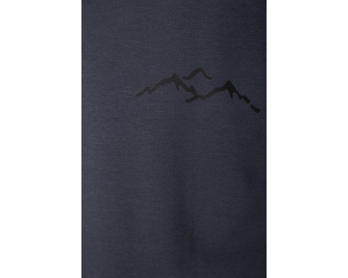 Спортивний чоловічий демісезонний костюм, колір сірий, 241R176