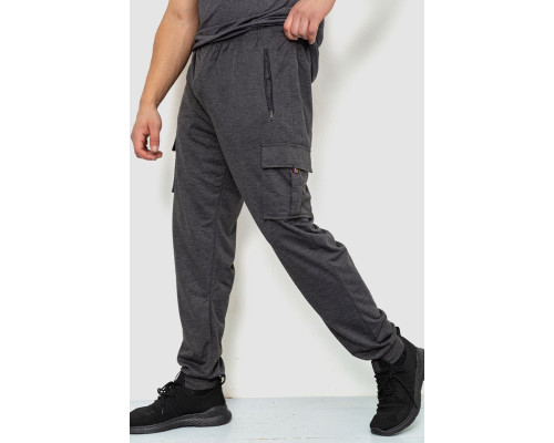 Спортивні чоловічі штани, колір темно-сірий, 244R41266