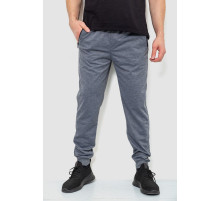 Спортивні штани чоловічі, колір сірий, 244R4779