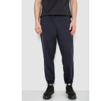 Спортивні штани чоловічі демісезонні, колір темно-синій, 241R001-1