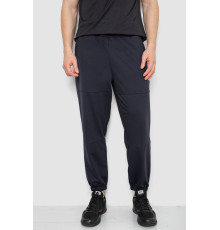 Спортивні штани чоловічі демісезонні, колір темно-синій, 241R001-1