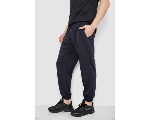 Спортивні штани чоловічі демісезонні, колір темно-синій, 241R001-1