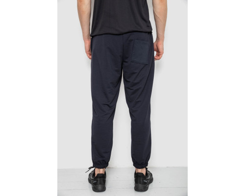 Спортивні штани чоловічі демісезонні, колір темно-синій, 241R001-1