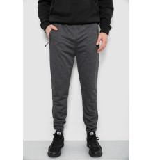 Спортивні штани чоловічі, колір сірий, 244R435