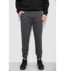 Спортивні штани чоловічі, колір сірий, 244R435