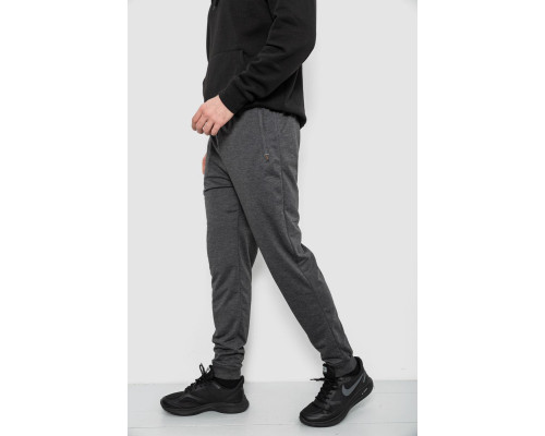 Спортивні штани чоловічі, колір сірий, 244R435