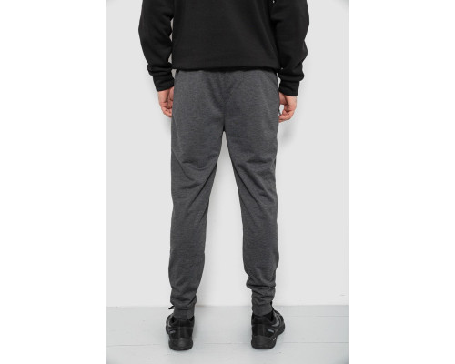 Спортивні штани чоловічі, колір сірий, 244R435