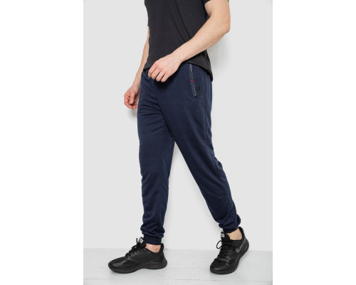 Спортивні штани чоловічі, колір темно-синій, 244R41669