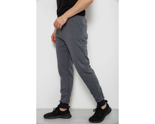 Спортивні чоловічі штани на флісі, колір сірий, 238R56910-5