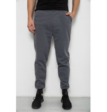 Спортивні чоловічі штани на флісі, колір сірий, 238R56910-5