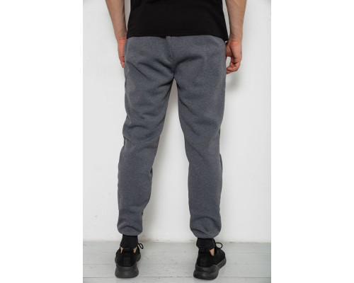 Спортивні чоловічі штани на флісі, колір сірий, 238R56910-5