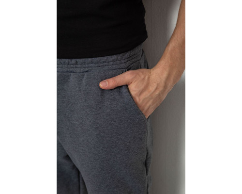Спортивні чоловічі штани на флісі, колір сірий, 238R56910-5