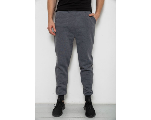 Спортивні чоловічі штани на флісі, колір сірий, 238R56910-5