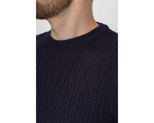 Светр чоловічий, колір темно-синій, 161R880
