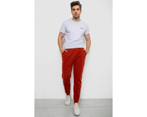 Спортивні штани чоловічі на флісі, колір теракотовий, 238R57256-1