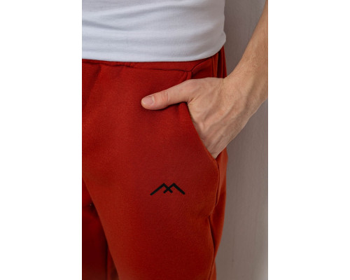 Спортивні штани чоловічі на флісі, колір теракотовий, 238R57256-1