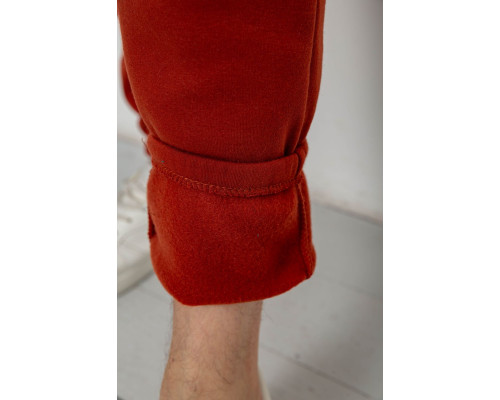 Спортивні штани чоловічі на флісі, колір теракотовий, 238R57256-1