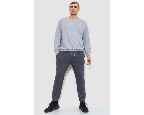 Спортивні штани чоловічі двонитка, колір сірий, 241R8005