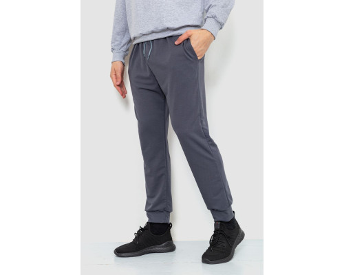 Спортивні штани чоловічі двонитка, колір сірий, 241R8005