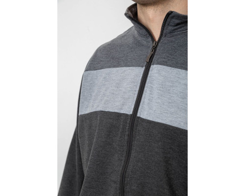 Спортивний костюм чоловічий, колір сірий, 244R9160