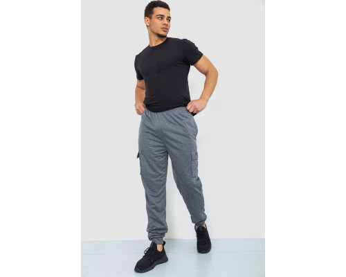 Спортивні штани чоловічі, колір сірий, 244R41206