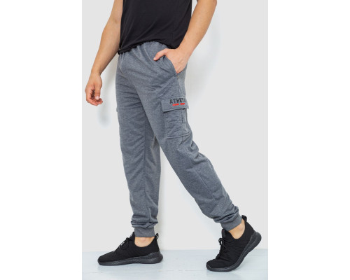 Спортивні штани чоловічі, колір сірий, 244R41206