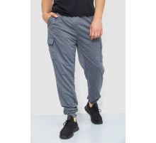 Спортивні штани чоловічі, колір сірий, 244R41206