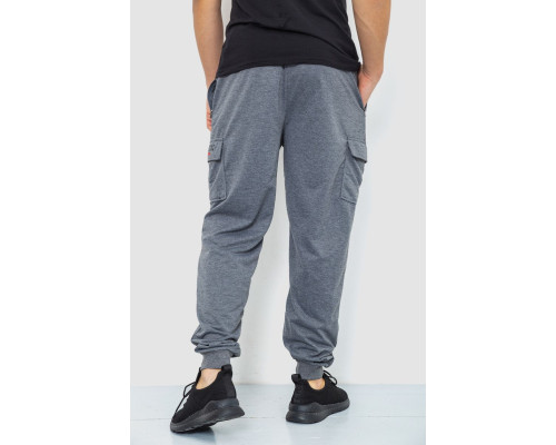 Спортивні штани чоловічі, колір сірий, 244R41206
