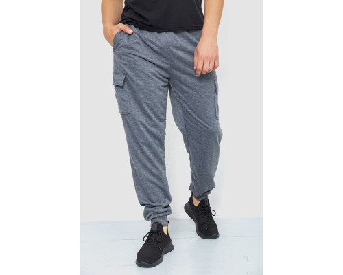 Спортивні штани чоловічі, колір сірий, 244R41206