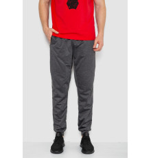 Спортивні штани чоловічі, колір темно-сірий, 244R41236