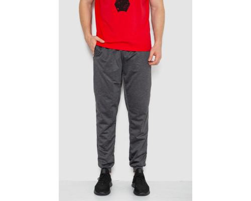 Спортивні штани чоловічі, колір темно-сірий, 244R41236