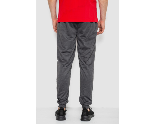 Спортивні штани чоловічі, колір темно-сірий, 244R41236