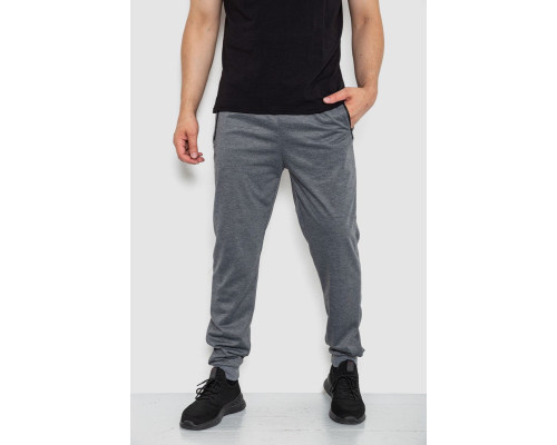 Спортивні штани чоловічі, колір сірий, 244R41512