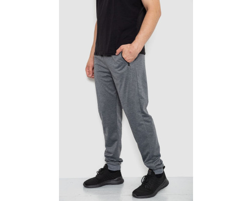 Спортивні штани чоловічі, колір сірий, 244R41512