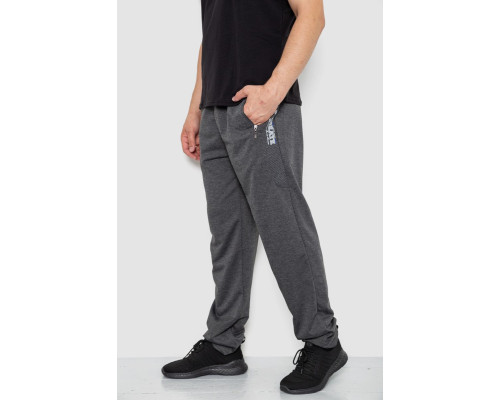 Спортивні штани чоловічі, колір темно-сірий, 244R4932