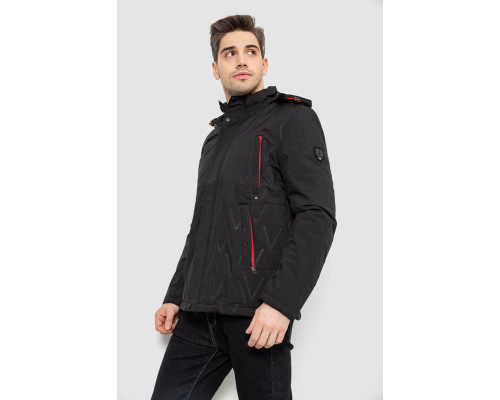 Куртка чоловіча демісезонна з капюшоном, колір чорний, 244RL9159AL