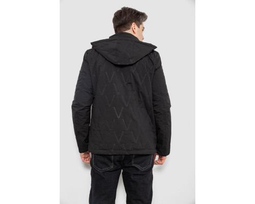 Куртка чоловіча демісезонна з капюшоном, колір чорний, 244RL9159AL