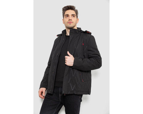 Куртка чоловіча демісезонна з капюшоном, колір чорний, 244RL9159AL