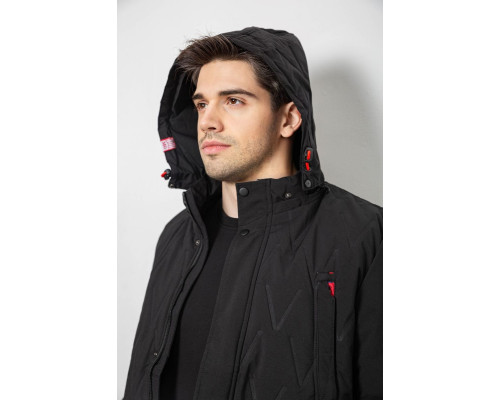 Куртка чоловіча демісезонна з капюшоном, колір чорний, 244RL9159AL