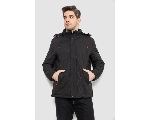 Куртка чоловіча демісезонна з капюшоном, колір чорний, 244RL9159AL