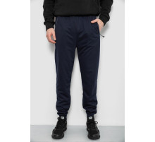 Спортивні штани чоловічі, колір синій, 244R435