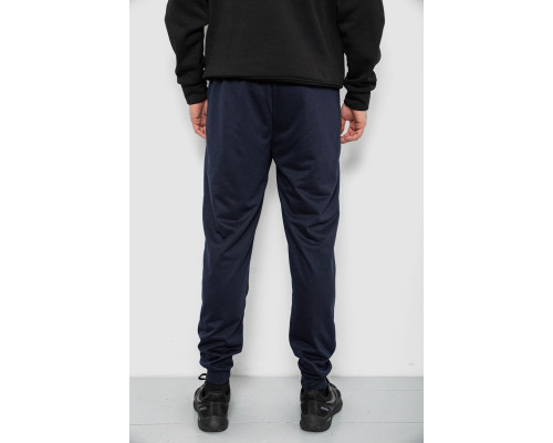 Спортивні штани чоловічі, колір синій, 244R435
