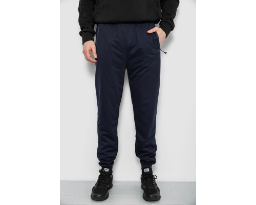 Спортивні штани чоловічі, колір синій, 244R435