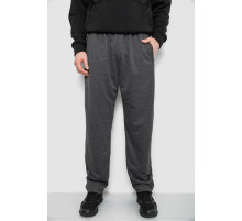 Спортивні штани чоловічі, колір сірий, 244R41399