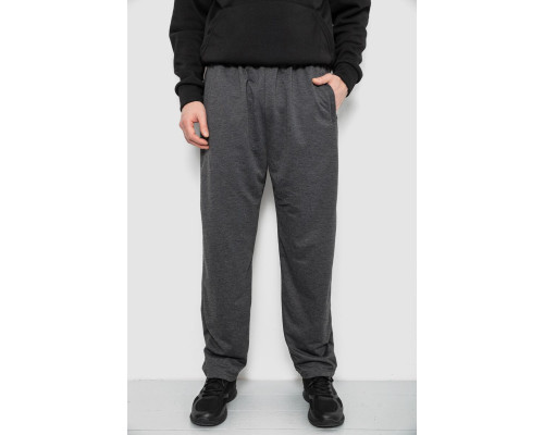 Спортивні штани чоловічі, колір сірий, 244R41399