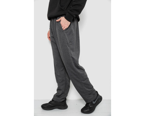 Спортивні штани чоловічі, колір сірий, 244R41399
